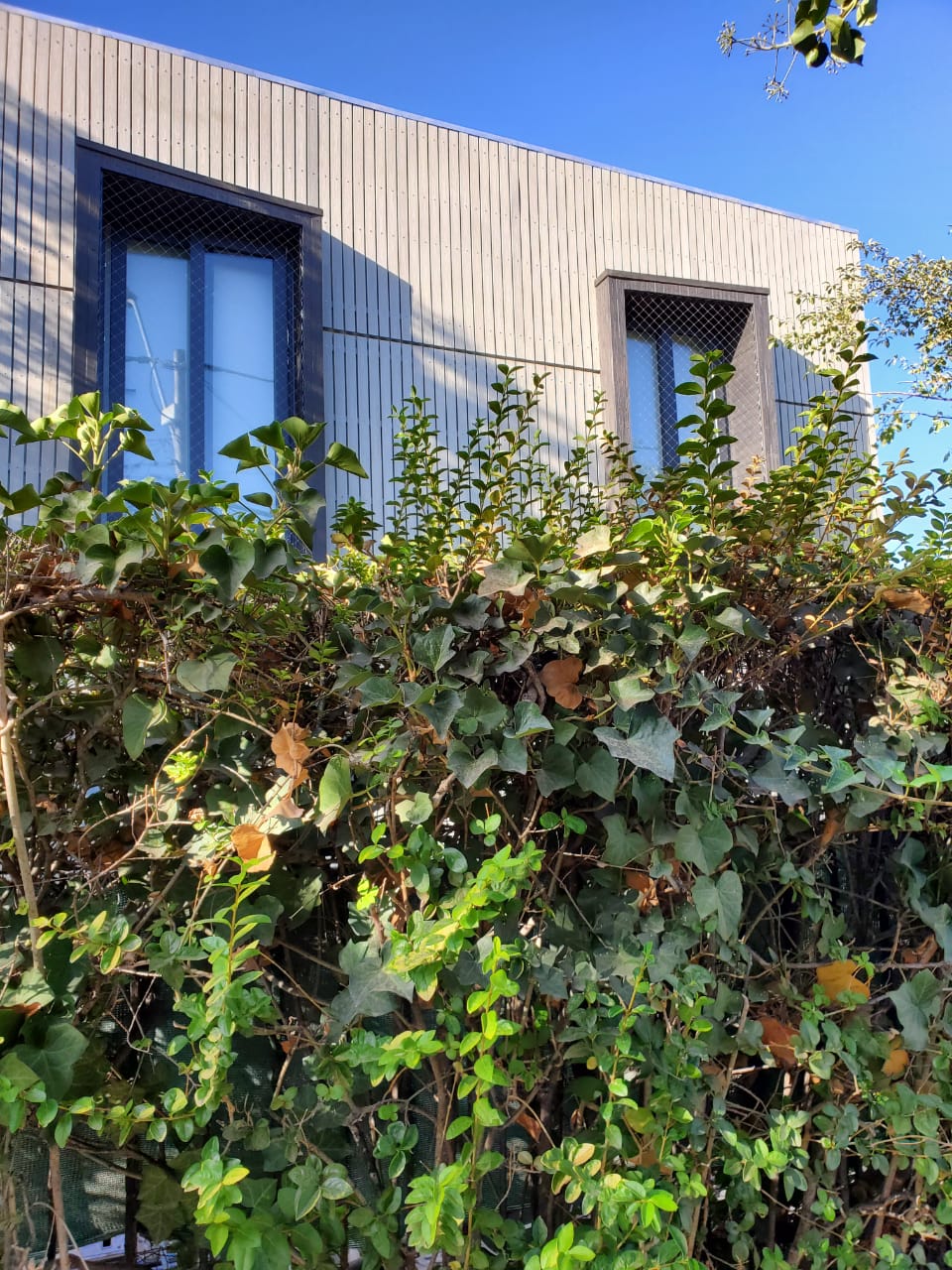 Desarrollo de proyecto de Arquitectura y especialidades.