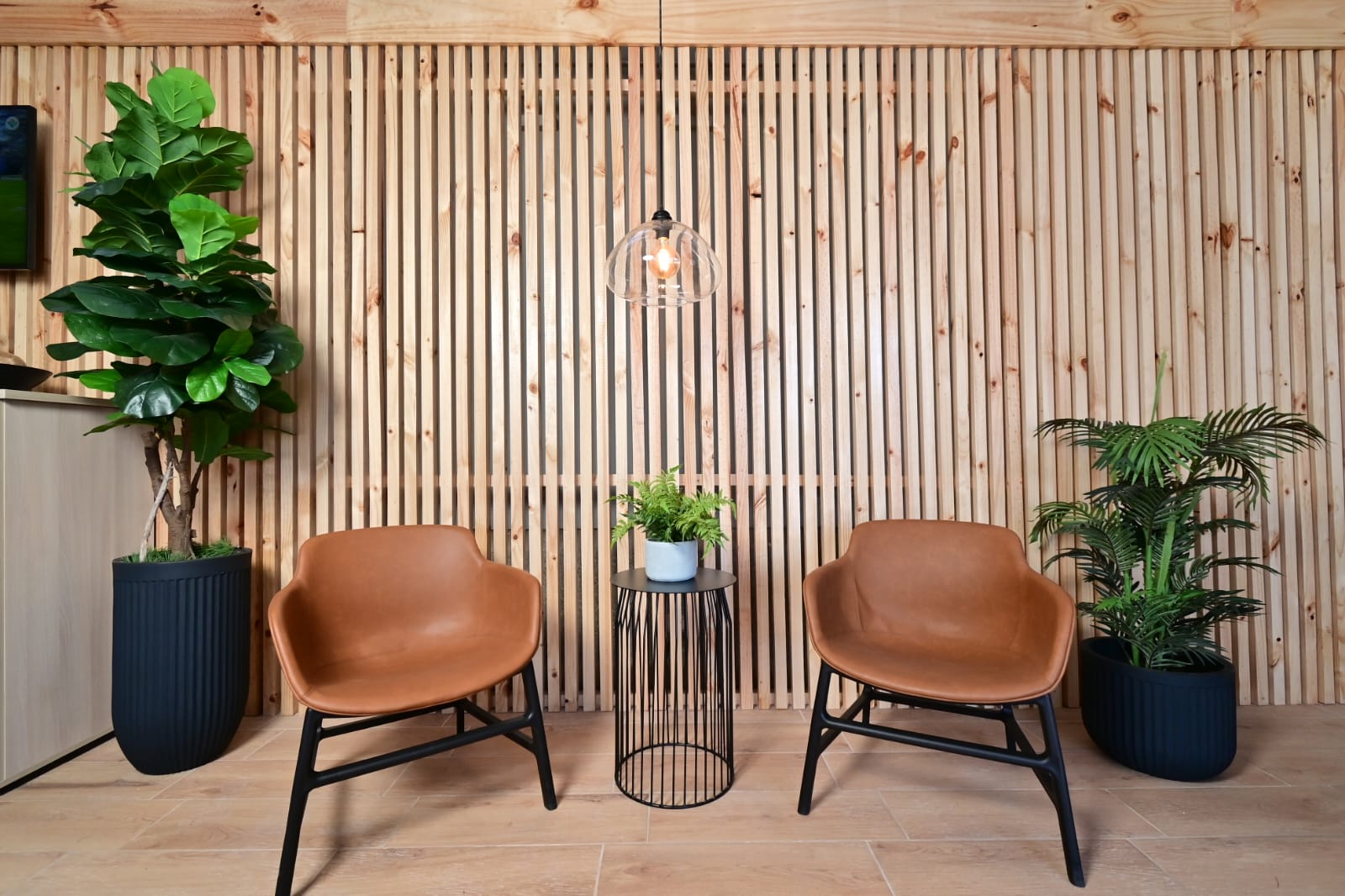 Galería del proyecto