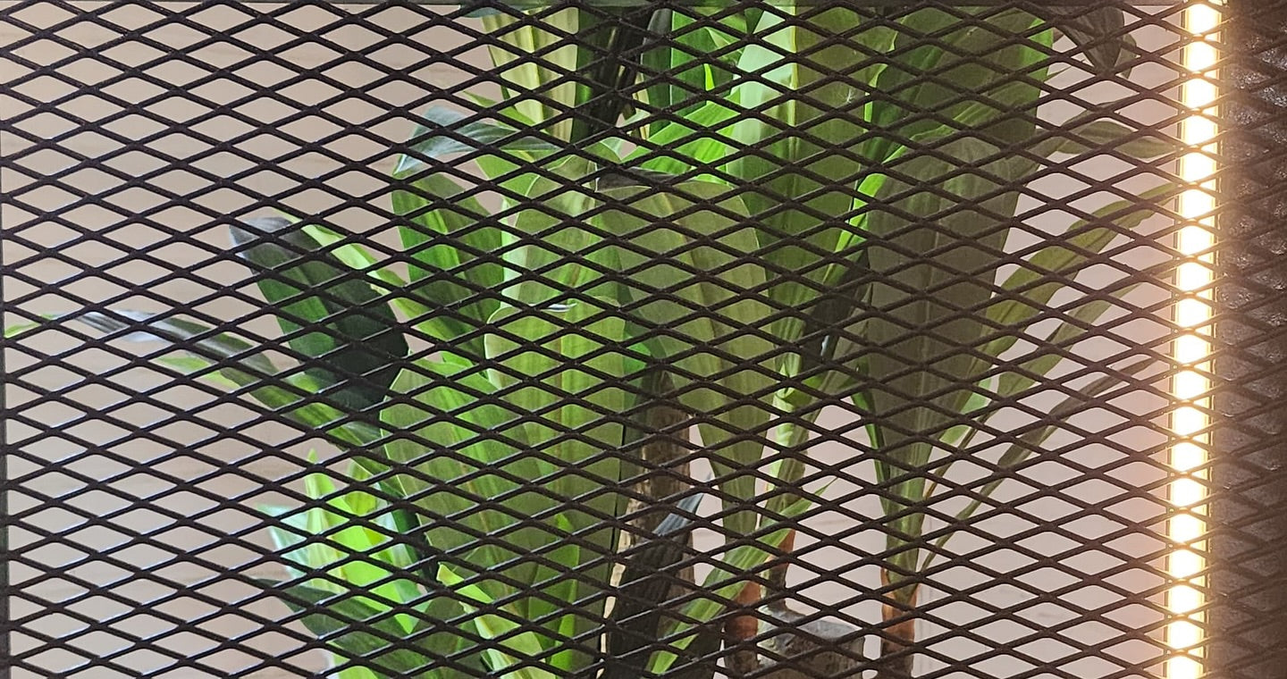 Galería del proyecto